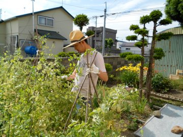 地方が熱い！地方で勝つ！①